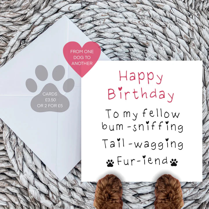Doggy Birthday Box