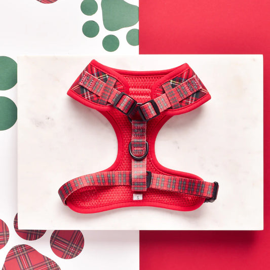 Tartan Adjustable Neck Harness - Pup&Puppy