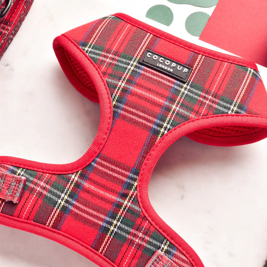 Tartan Adjustable Neck Harness - Pup&Puppy